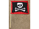 Gear No: 352T1  Name: Flag, Pirates, Skull and Crossbones