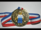 Gear No: 4202574  Name: Medal with Ribbon, Soccer with removable White/Blue Minifigure Player shirt #5