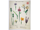 Gear No: 5007798  Name: Botanical Collection, The LEGO Flower Bouquet VIP Poster