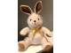 Gear No: 852217bunny  Name: DUPLO Bunny / Rabbit Plush (852217)