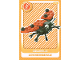 Gear No: ctw015BE  Name: Create the World Trading Card #  15 Coccinelle / Lieveheersbeestje (Belgian)