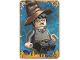 Gear No: hpcd10  Name: Harry Potter Trading Card - # 10