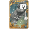 Gear No: hpcd17  Name: Harry Potter Trading Card - # 17