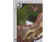 Gear No: jw1fr176  Name: Jurassic World Trading Card Game (French) Series 1 - # 176 Puzzle Piece