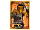 Gear No: njo03ptLE14  Name: NINJAGO Trading Card Game (Portuguese) Series 3 - # LE14 Cole Shintaro Edição Limitada