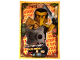 Gear No: njo3ptLE14  Name: NINJAGO Trading Card Game (Portuguese) Series 3 - # LE14 Cole Shintaro Edição Limitada
