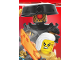 Gear No: njo9de245  Name: NINJAGO Trading Card Game (German) Series 9 - # 245 Puzzle Piece