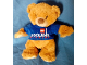 Gear No: plush24  Name: Teddy Bear Plush - LEGOLAND Windsor Royal Blue Shirt and Blue Brick on Foot