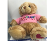 Gear No: plush58  Name: Teddy Bear Plush - LEGOLAND Windsor Resort Pink Shirt and Pink Heart on Foot