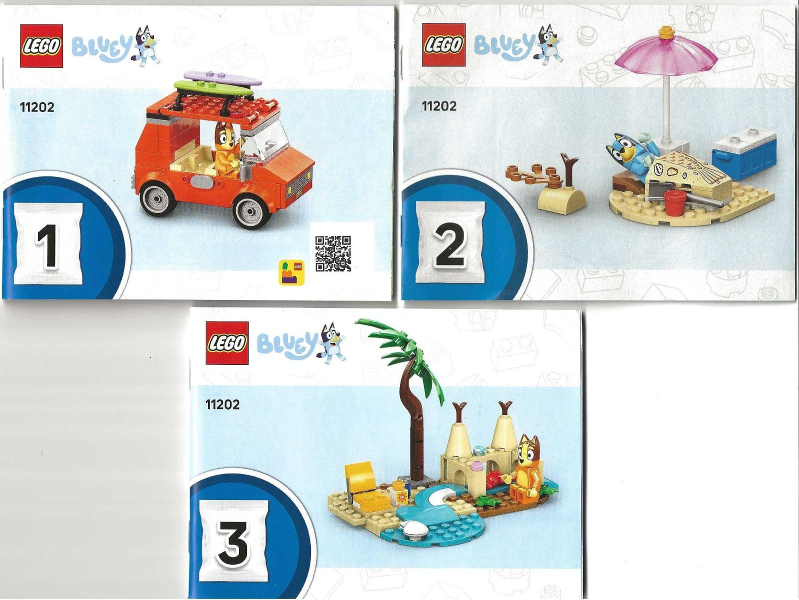 Bluey's Beach & Family Car Trip