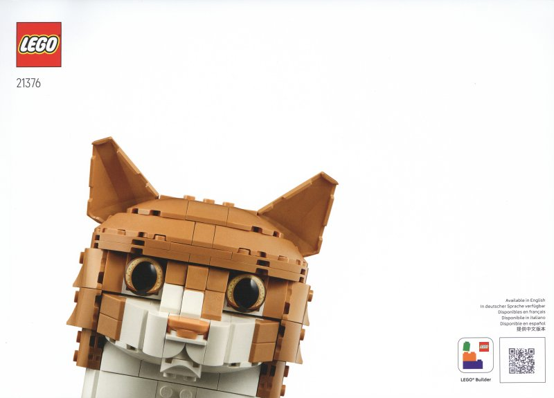 21376_DE_BI_Build_Translate