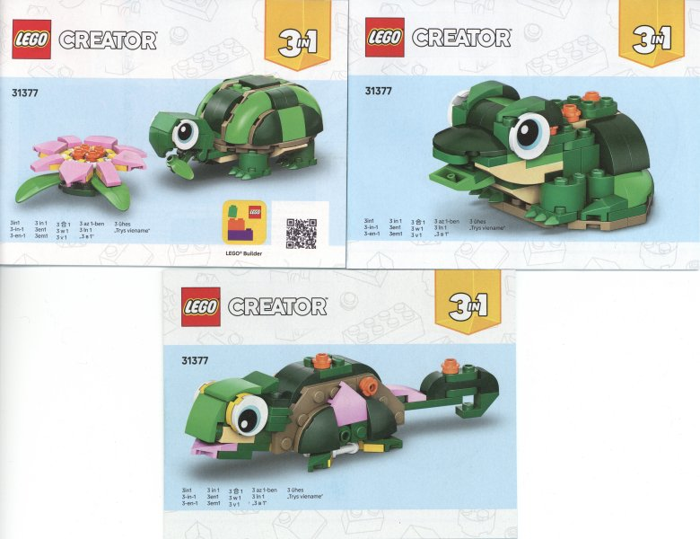 Turtle with a Water Lily