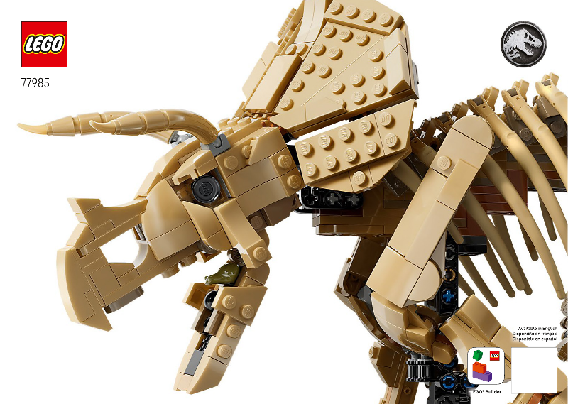 77985_DE_BI_Build_Translate