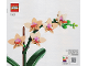 Instruction No: 10343  Name: Mini Orchid