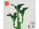 Instruction No: 10344  Name: Lucky Bamboo