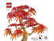 Instruction No: 10348  Name: Japanese Maple Tree