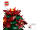 Instruction No: 10370  Name: Poinsettia