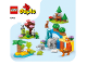 Instruction No: 10446  Name: 3in1 Wild Animal Families