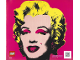Instruction No: 31197  Name: Warhol Marilyn Monroe
