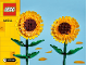 Instruction No: 40524  Name: Sunflowers