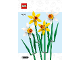 Instruction No: 40747  Name: Daffodils