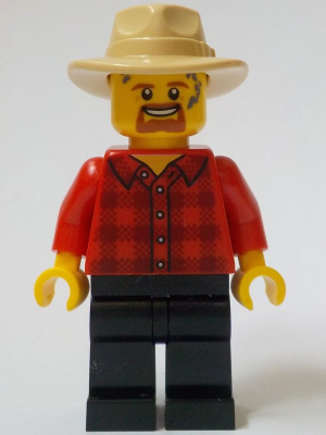 Minifigure adp119 : General Store Carriage Driver - Male, Red Plaid ...