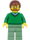 Minifig No: cty0893a  Name: Green V-Neck Sweater over Button Down Shirt Collar with 1 Button, Sand Green Legs, Reddish Brown Hair, Beard