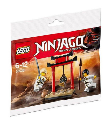 LEGO Ninjago WU-CRU Target Training Promo Polybag 30530 Set Bagged 
