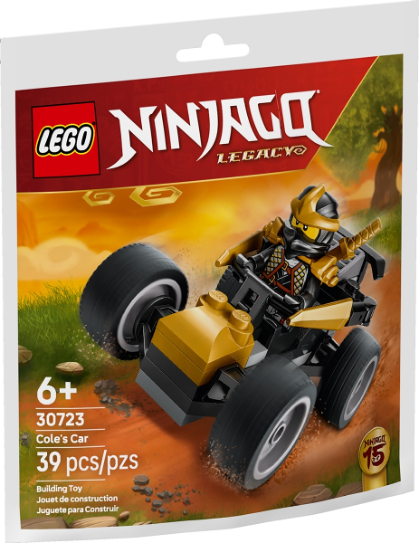 Cole's Car paper bag