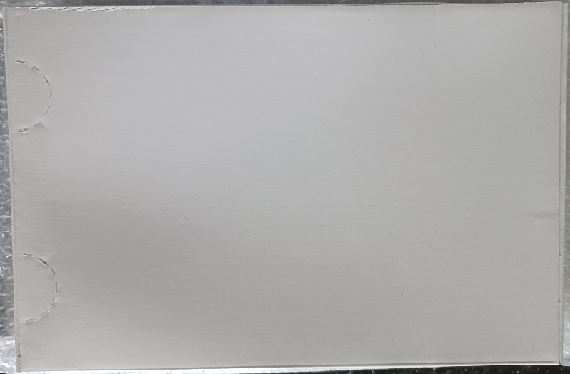 Open Freight Wagon (White Box)