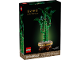 Original Box No: 10344  Name: Lucky Bamboo