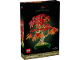 Original Box No: 10348  Name: Japanese Maple Tree