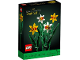 Original Box No: 40646  Name: Daffodils