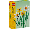 Original Box No: 40747  Name: Daffodils