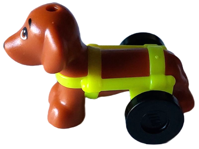 Dog, Friends, Dachshund with Neon Yellow Wheelchair Harness with Black  Wheels (Pickle) : Part 100559pb01c02