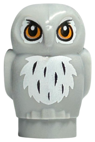 Owl, Small with Orange Eyes and White and Black Feathers