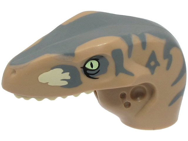 Dinosaur Head Raptor with Pin Hole with Tan Teeth and Dark