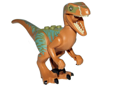 Dinosaur Raptor / Velociraptor with Olive Green Back and Sand Green  Markings (Jurassic World Echo) : Part Raptor05