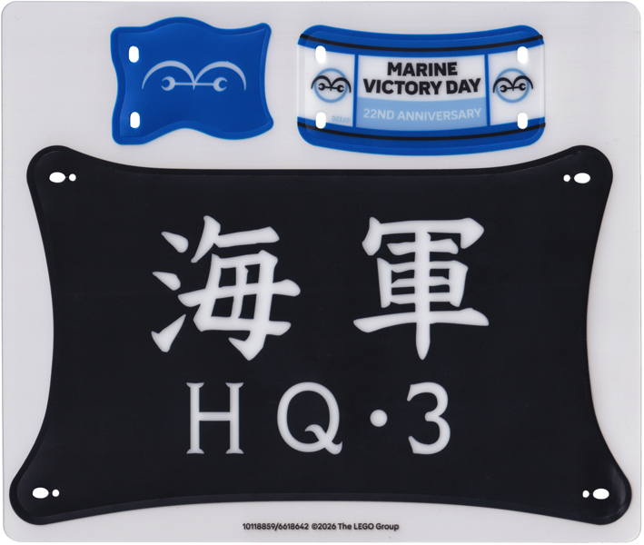 Plastic Sheet for Set 75646 - (10118859/6618642)