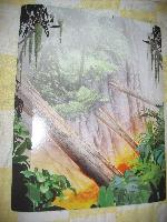 Paper Cardboard Backdrop for Set 8114 - (4524868)