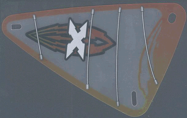 Plastic Triangle 9 x 15 Sail with Island Xtreme Stunts Logo Pattern