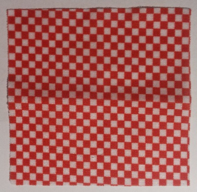 Cloth Picnic Tablecloth / Blanket with Red Checkered Pattern