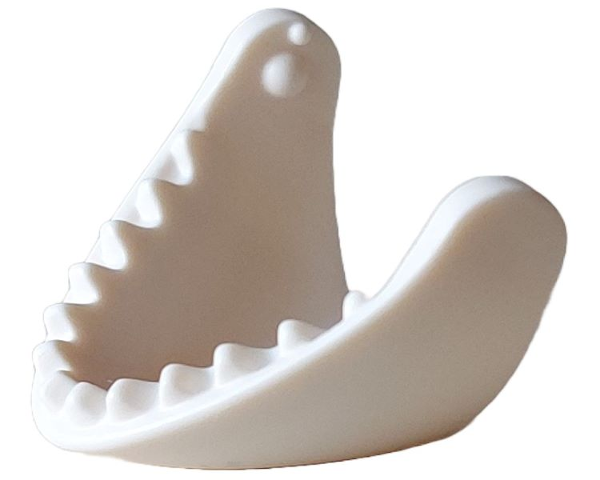 Whale / Orca Jaw Lower