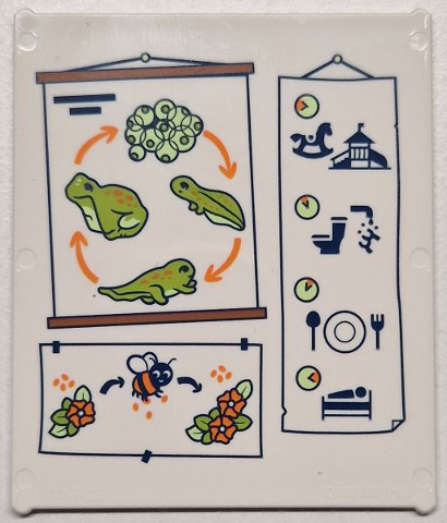 Glass for Window 1 x 6 x 6 Flat Front with Lime and Yellowish Green Frogspawn, Tadpoles and Frog Life Cycle with Orange Arrows, Flowers, Bee and Black Daily Plan Pictures Pattern