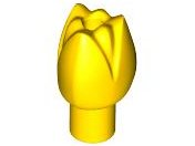 Plant Flower Tulip with Bar and Small Pin Hole