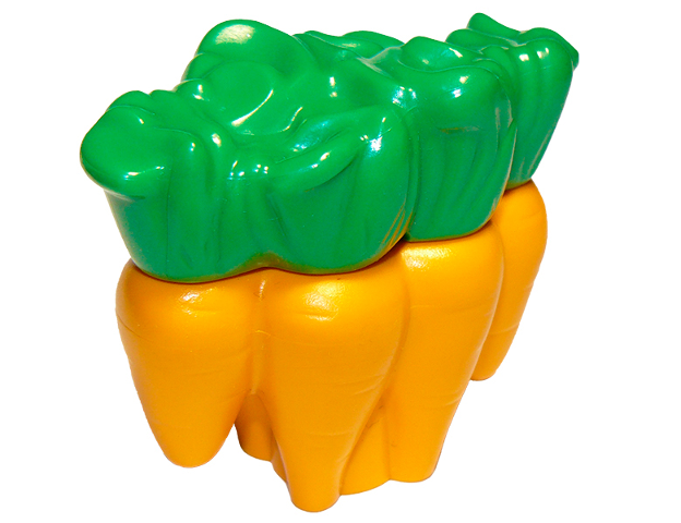 Duplo Carrots with Green Leaves Pattern