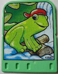 Story Builder Jungle Jam Card with Frog in Cap Pattern