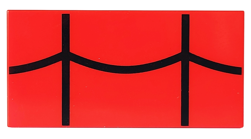 Tile 2 x 4 with Black Spider Web Pattern