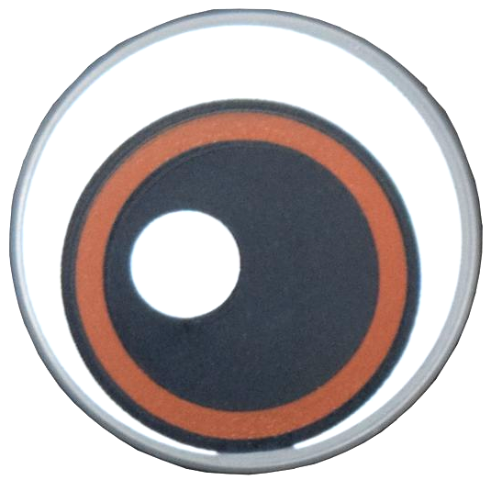 Tile, Round 2 x 2 with Bottom Stud Holder with Reddish Brown and White Eye with Large Black Pupil Pattern