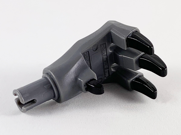 Dinosaur Foot Front (Manus) with Black Claws Pattern